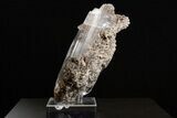 Spectacular Selenite Crystal Cluster - Naica Mine, Mexico #325048-3